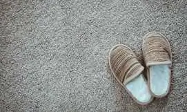 Carpet Cleaning Service Carpet Cleaning Service
